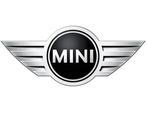 Mini_logo